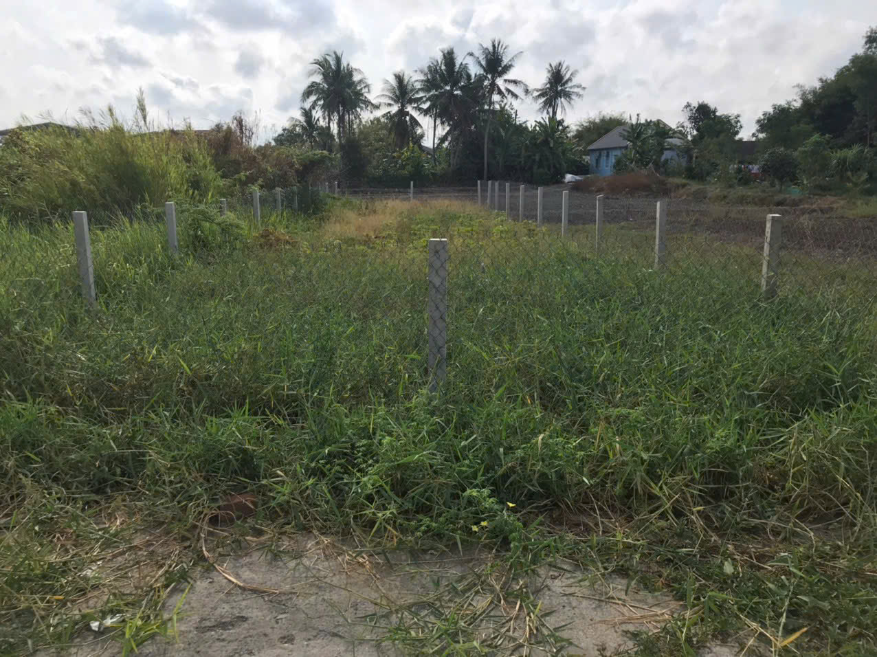 cần bán đất nền 100% thổ cư Tại Xã Mỹ Lệ, Huyện Cần Đước, Tỉnh Long An. 15988361