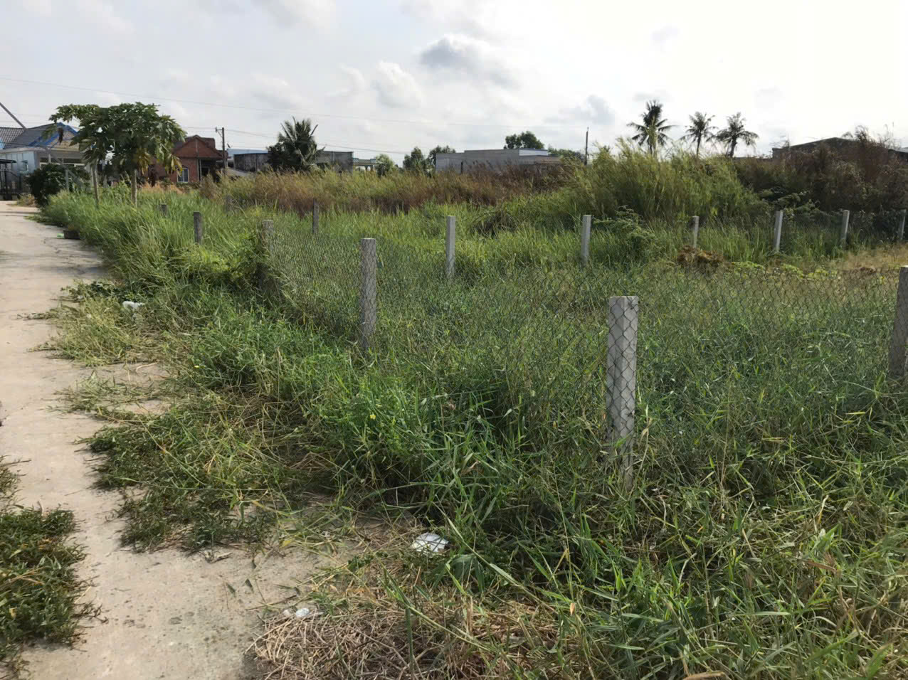 cần bán đất nền 100% thổ cư Tại Xã Mỹ Lệ, Huyện Cần Đước, Tỉnh Long An. 15988361