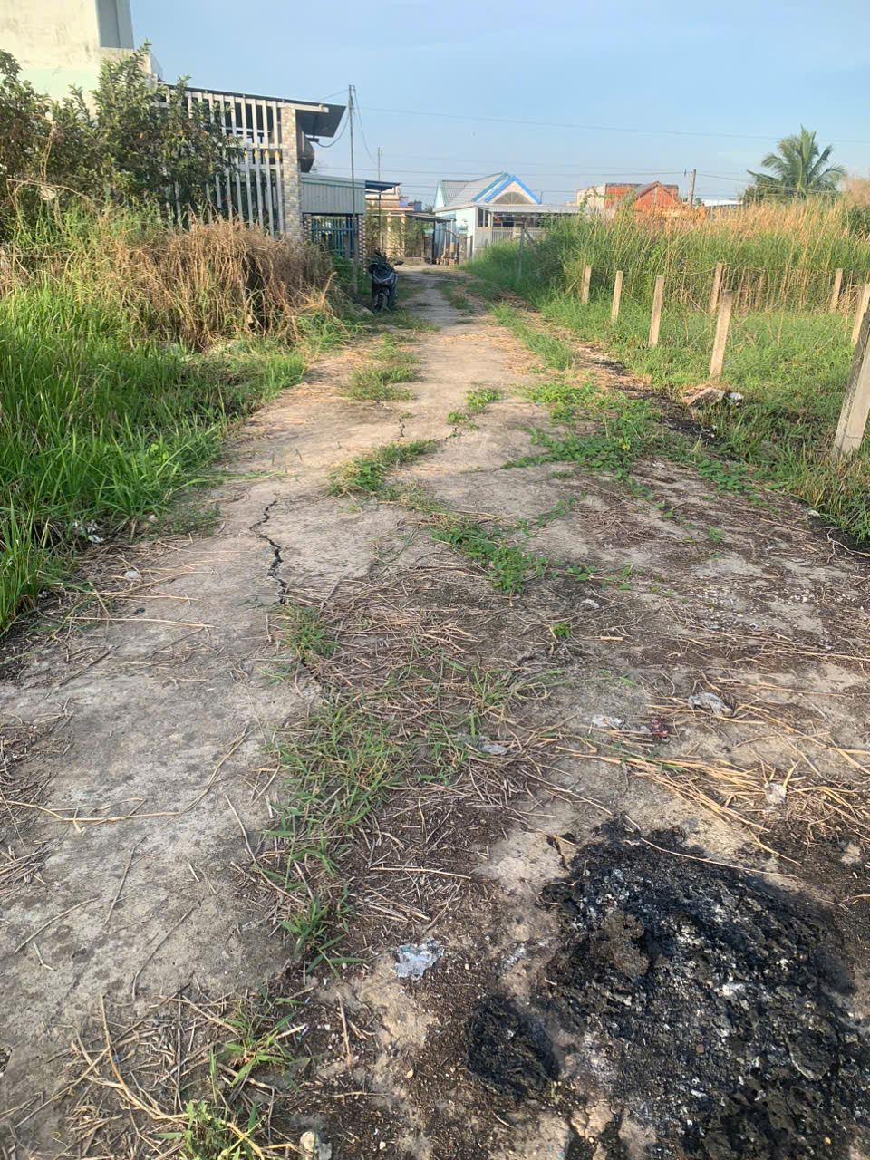 cần bán đất nền 100% thổ cư Tại Xã Mỹ Lệ, Huyện Cần Đước, Tỉnh Long An. 15988361