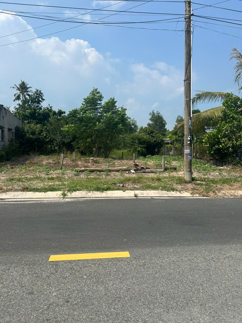 Bán 5m x 55m đất mặt tiền Trưng Trắc, Tân An, LaGi giá ngộp 1.4 tỷ sổ riêng 15988431