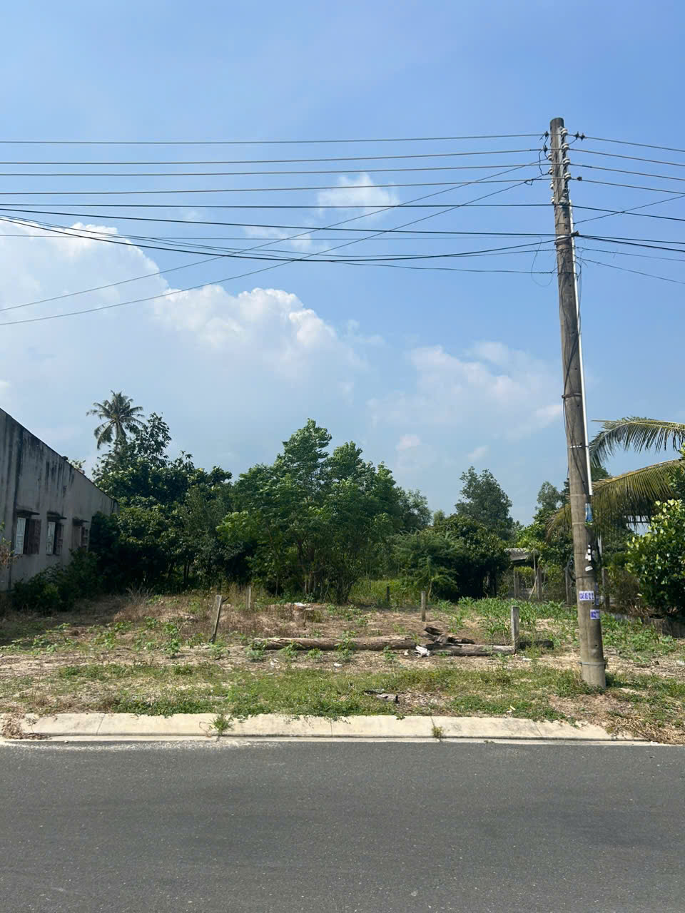 Bán 5m x 55m đất mặt tiền Trưng Trắc, Tân An, LaGi giá ngộp 1.4 tỷ sổ riêng 15988431