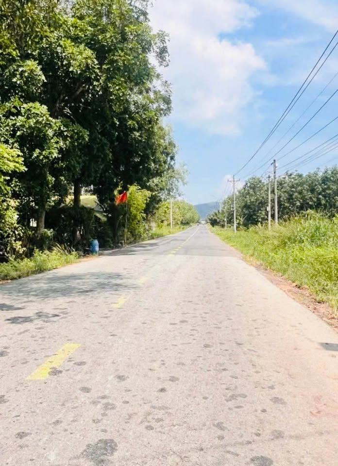 🔥 Cần ra gấp lô duy nhất đường DH không tên thông DT744 – 5x52, 100m² thổ cư, giá chỉ 6xx! 15988472