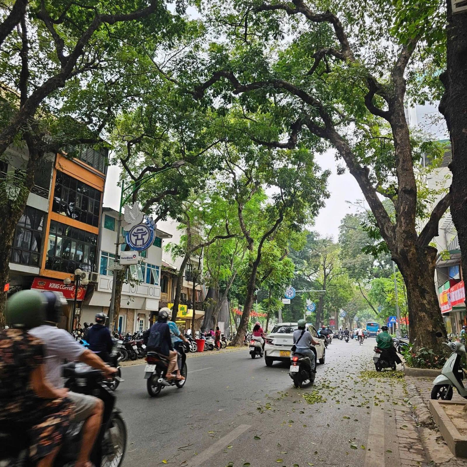 Quán Thánh – BÁN NHÀ 5 TẦNG – 50M² – 17.5 TỶ  BA ĐÌNH 15988494