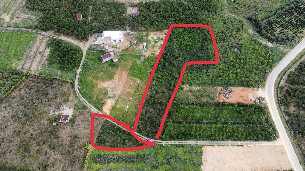 BÁN ĐẤT VIEW ĐẸP TẠI TP. BẢO LỘC – GIÁ CHỈ 1,4 TỶ/SÀO 15988547