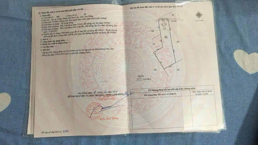 BÁN ĐẤT VIEW ĐẸP TẠI TP. BẢO LỘC – GIÁ CHỈ 1,4 TỶ/SÀO 15988547