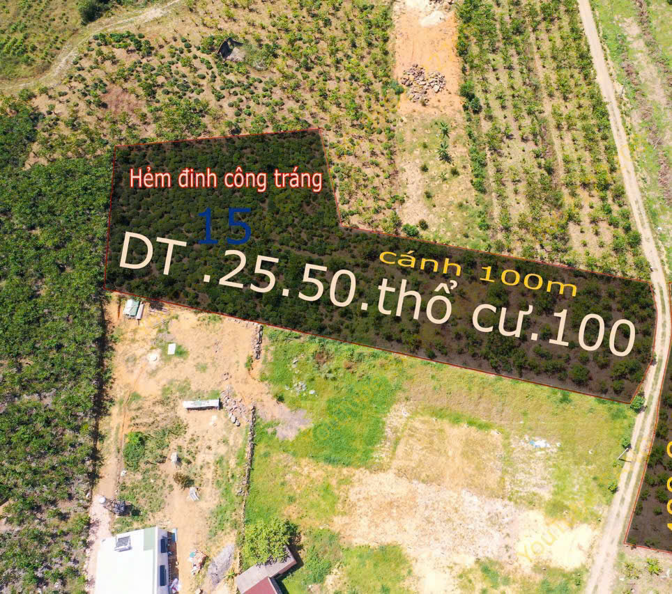 BÁN ĐẤT VIEW ĐẸP TẠI TP. BẢO LỘC – GIÁ CHỈ 1,4 TỶ/SÀO 15988547