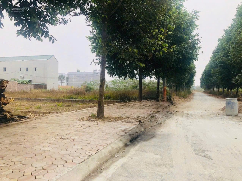 Cắt lỗ! 100m tái định cư đại học QG vị trí đẹp kinh doanh, giá cắt lỗ siêu rẻ nhất công nghệ cao 15988586