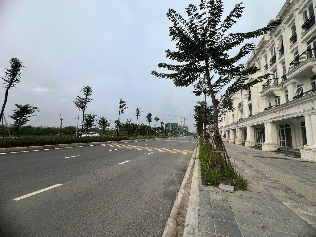 Chính chủ bán LK Louis City Đại mỗ, Nam Từ  Liêm. DT 105m x 5,5 tầng, SĐCC. Giá 30,5 tỷ.  LH: 15988667