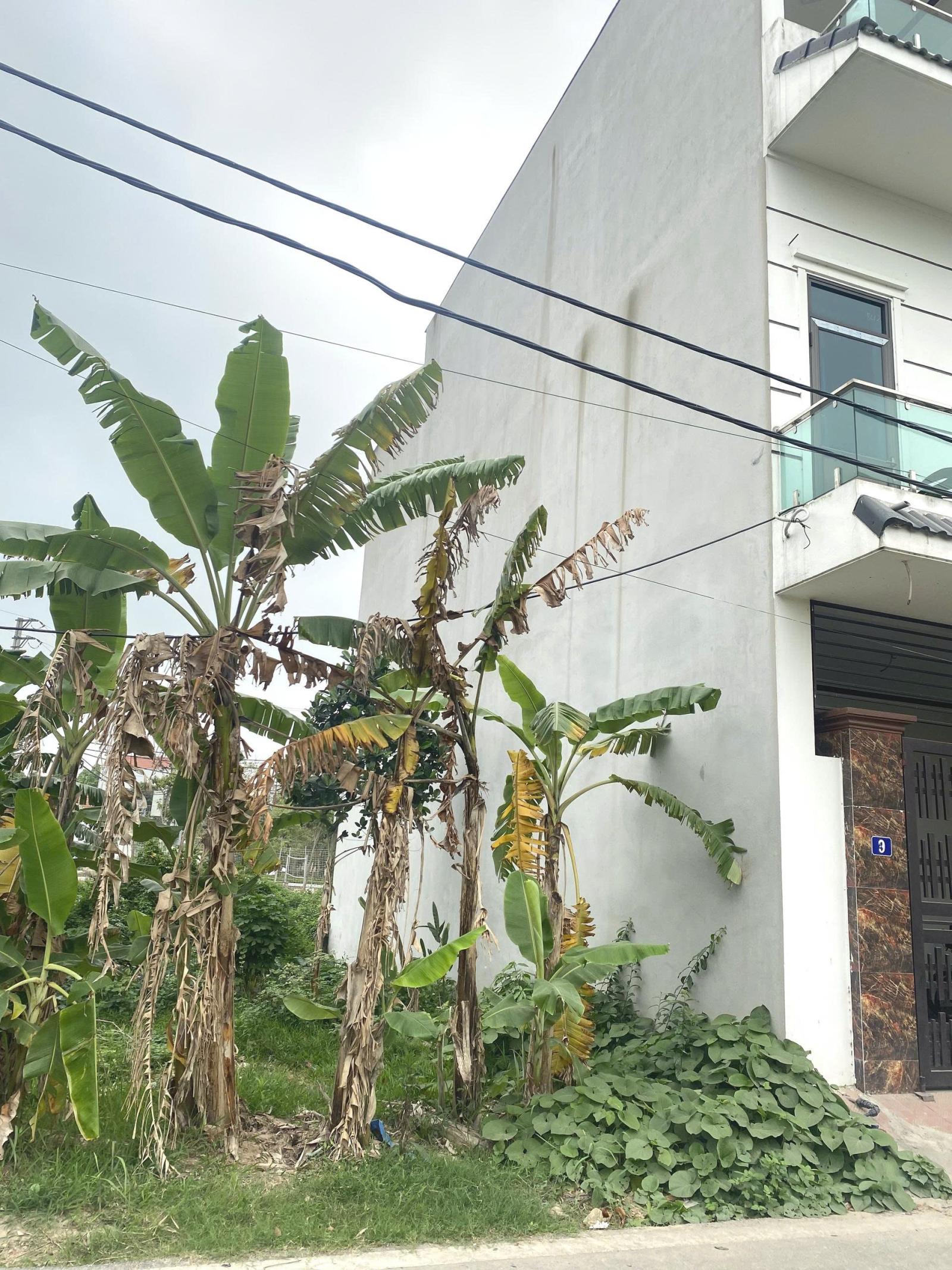 CƠ HỘI ĐẦU TƯ – ĐẤT ĐẸP TRUNG TÂM VĨNH TƯỜNG- VĨNH PHÚC 15988685