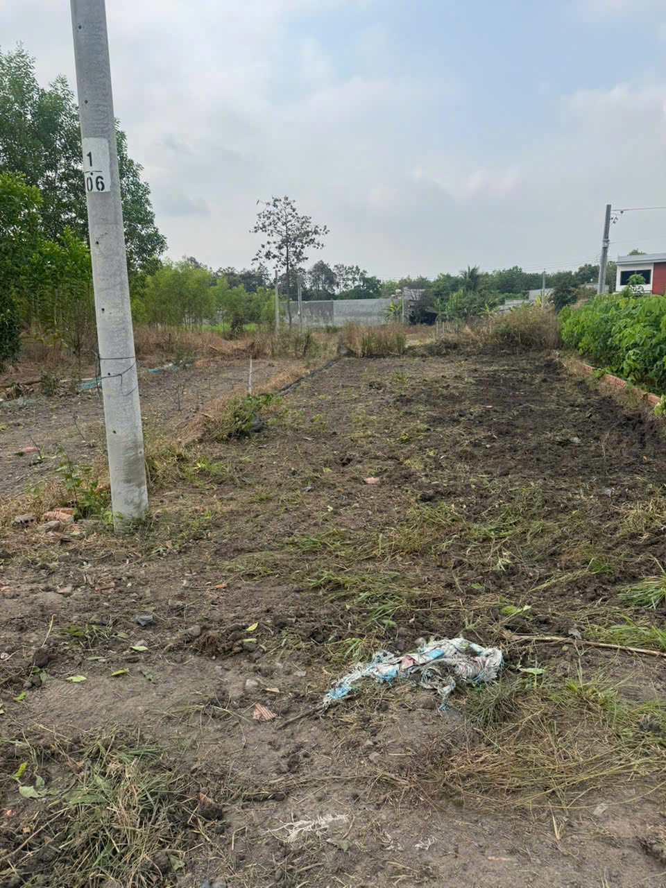 CHÍNH CHỦ CẦN BÁN GẤP LÔ ĐẤT GIÁ TỐT – ẤP 4 – TP HỒ CHÍ MINH 15988705