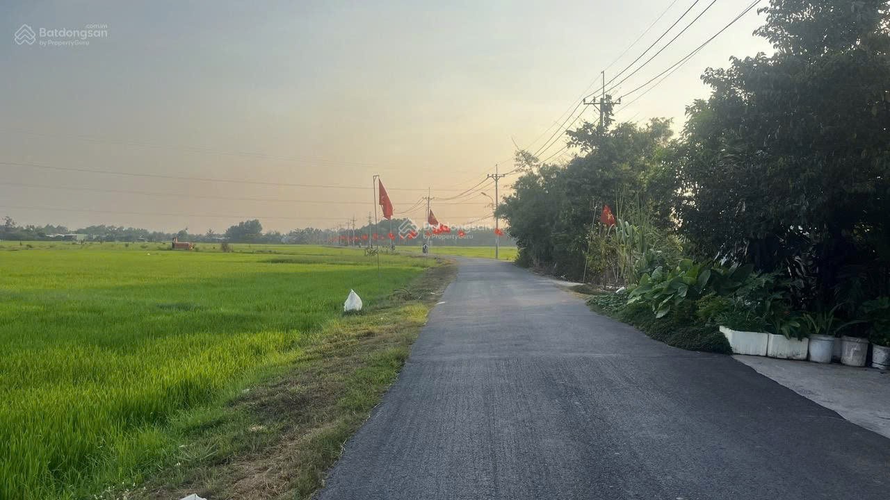 ĐẤT ĐẸP - GIÁ TỐT – CẦN BÁN ĐẤT VÕ VĂN ĐIỀU – Xã Phước Thạnh, Huyện Củ Chi, TP Hồ Chí Minh 15988715