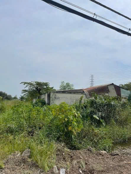 BÁN 8.000M² MẶT TIỀN TỈNH LỘ 15 – 6.000M² THỔ CƯ – GIÁ CHỈ 11TR/M² 15988717