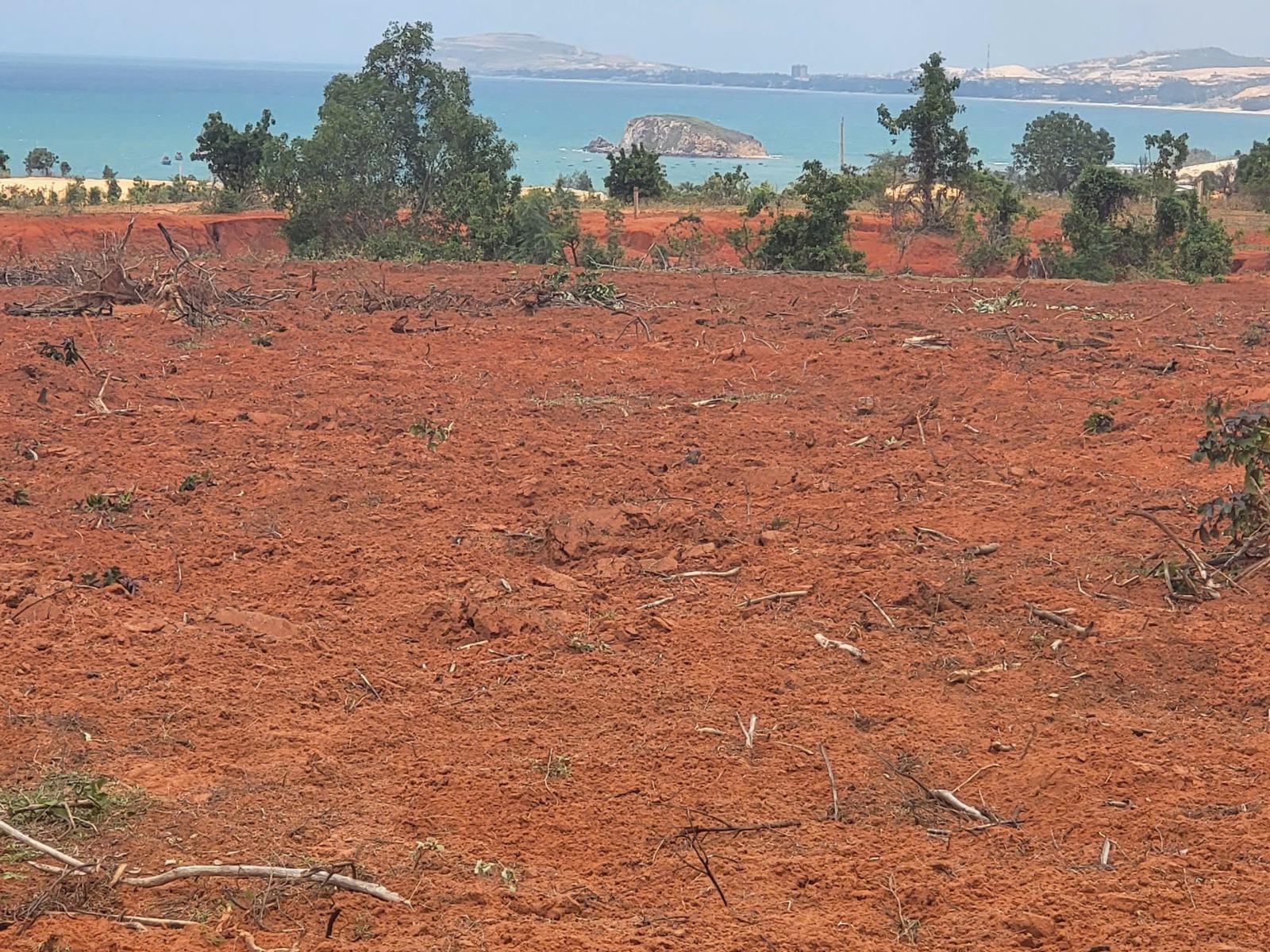 BÁN 4 LÔ ĐẤT LIỀN KỀ – GIÁ CHỈ 1 TRIỆU/M² – CƠ HỘI ĐẦU TƯ HẤP DẪN 15988759