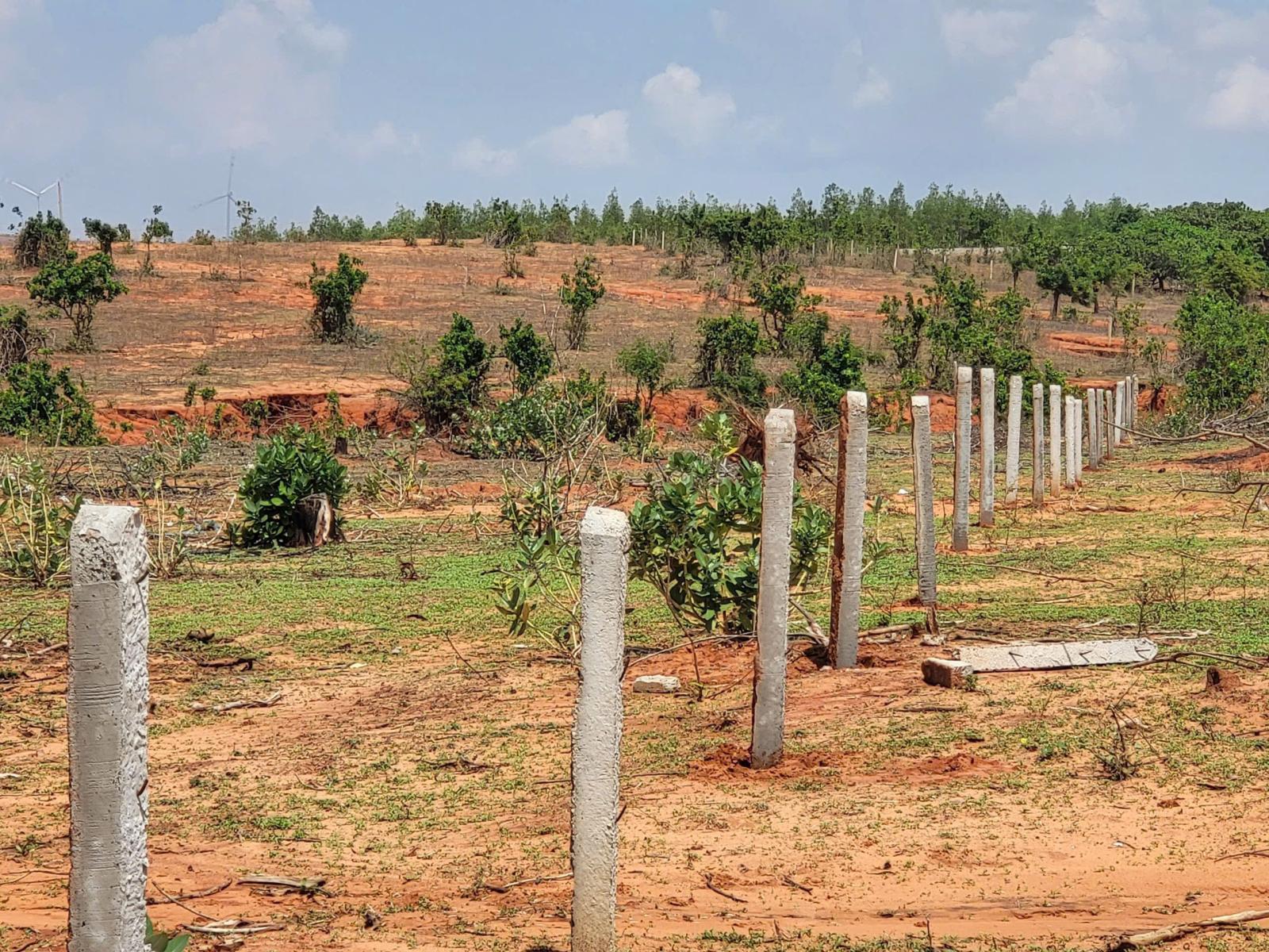 BÁN 4 LÔ ĐẤT LIỀN KỀ – GIÁ CHỈ 1 TRIỆU/M² – CƠ HỘI ĐẦU TƯ HẤP DẪN 15988759