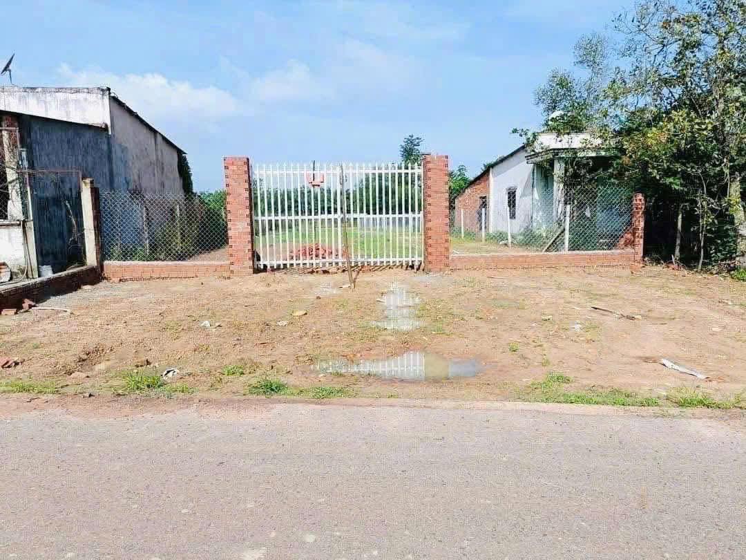 🌿 Đất đẹp đường vào KDL Bằng Lăng – Đồng Sến – tiềm năng làm homestay, villa nghỉ dưỡng 15988767