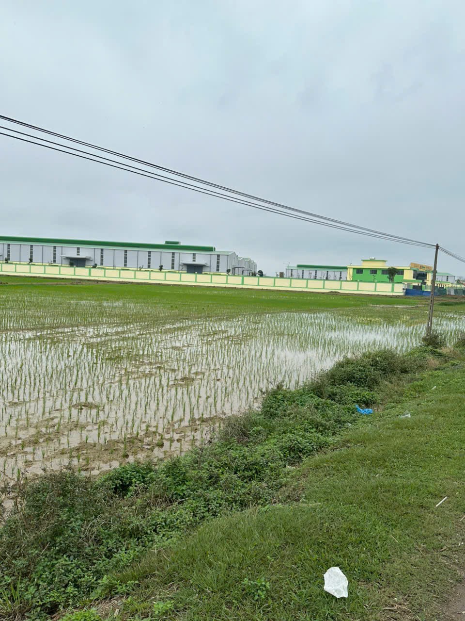 ĐẤT ĐẸP GIÁ TỐT –CHÍNH CHỦ CẦN BÁN ĐẤT QL47 – Xã Dân Quyền, Huyện Triệu Sơn, Thanh Hóa 15988782