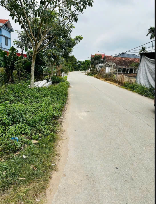 Em có mấy lô đất đẹp tại Nguyên Lý – Lý Nhân – Hà Nam cần bán ạ 15988787