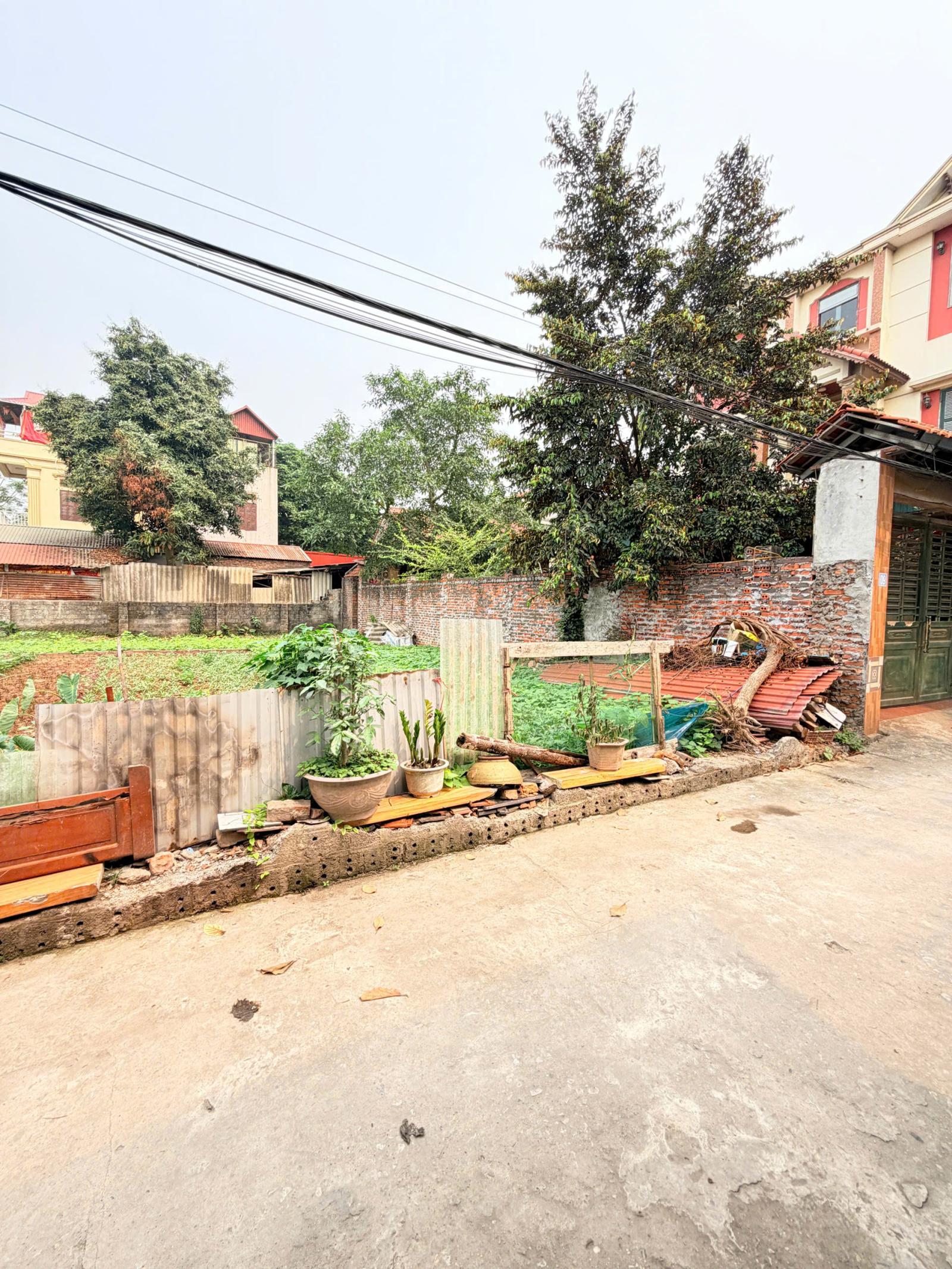 TÀI CHÍNH CHỈ 2 TY NHỎ CÓ NGAY 59M ĐẤT VÕNG XUYÊN - PHÚC THỌ - HÀ NỘI 15988902