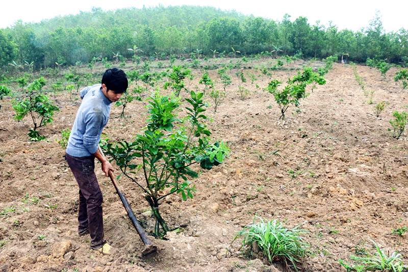 Bán Đất Vườn 9664m2 Sân Bay Long Thành Xã Xuân Đường, Huyện Cẩm Mỹ, Đồng Nai 15988939