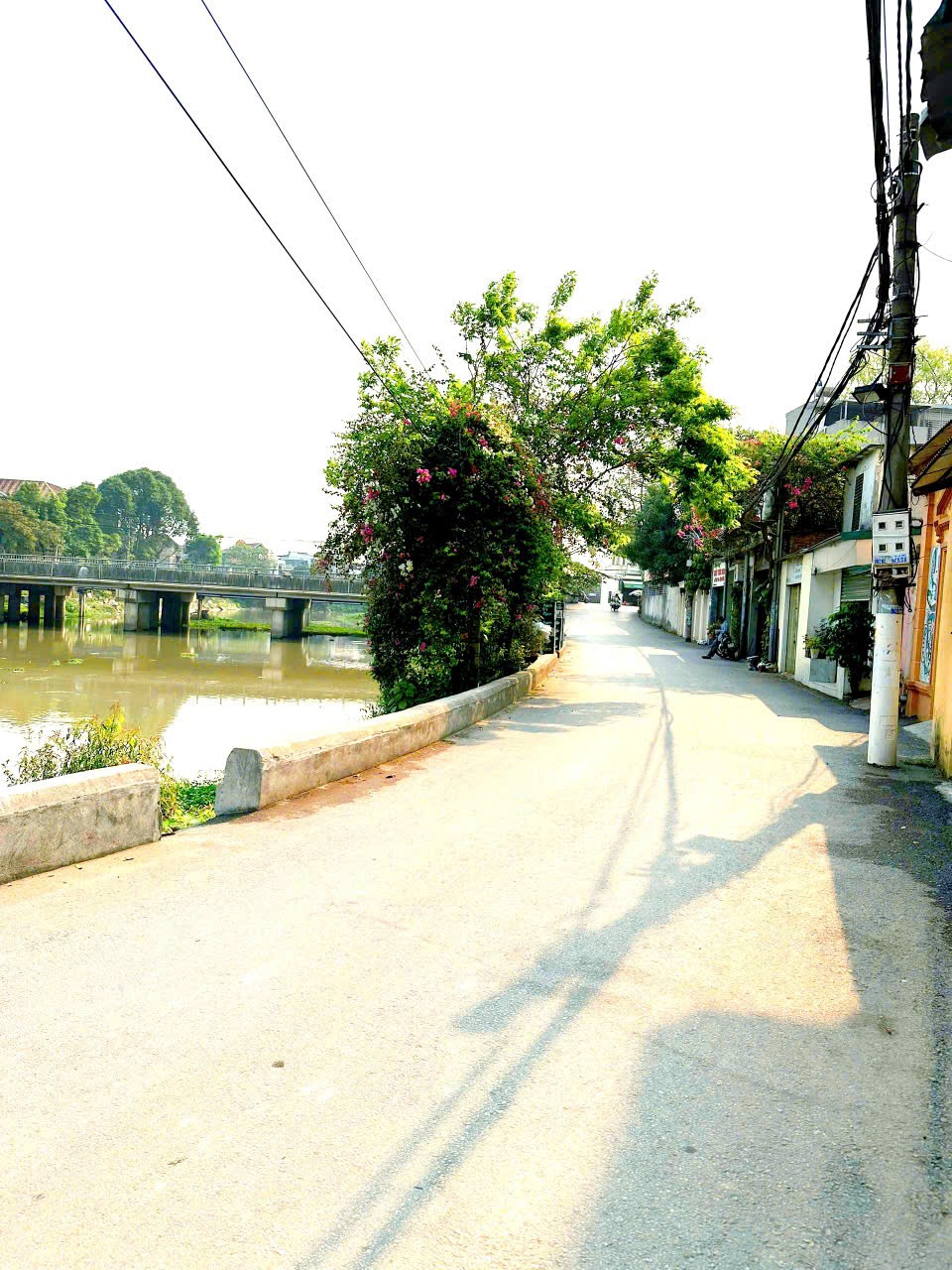 NHÀ ĐẸP GIÁ TỐT –CHÍNH CHỦ CẦN BÁN  CĂN NHÀ 3 TẦNG DÃ TƯỢNG – Phường Đông Sơn, TP Thanh Hóa 15988950