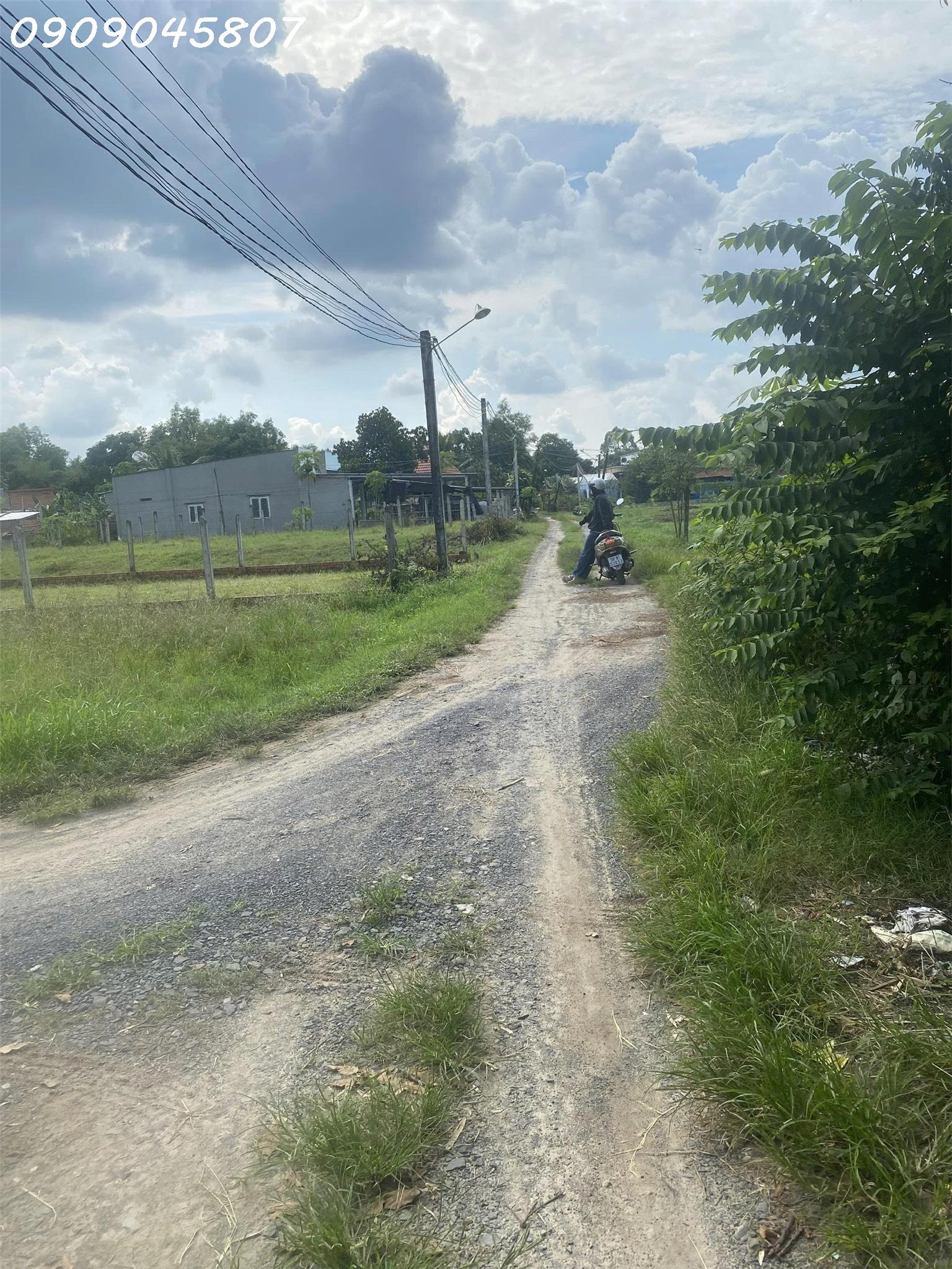 Chính chủ bán gấp 360m2 đất thổ cư 100% Đức Hòa giá 1,55 tỷ có phí hh cho môi giới 15988952