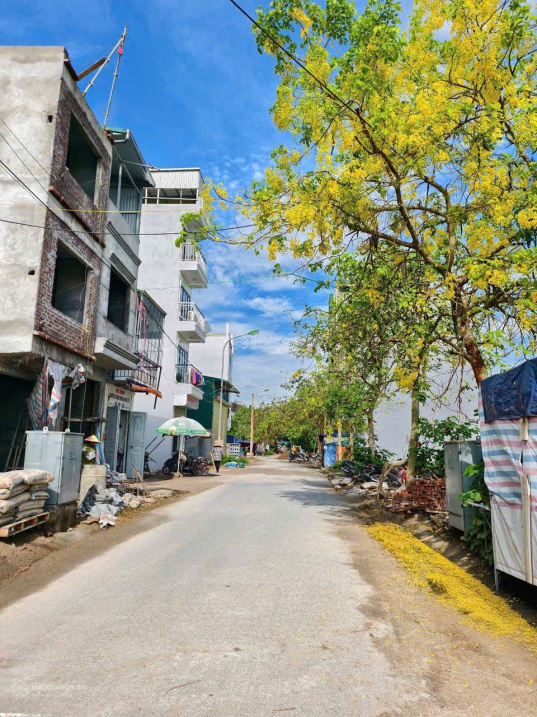 BÁN ĐẤT ĐẤU GIÁ ĐẠI ÁNG(NGỌC HỒI)  . GIÁ HƠN 8 TỶ 15988971