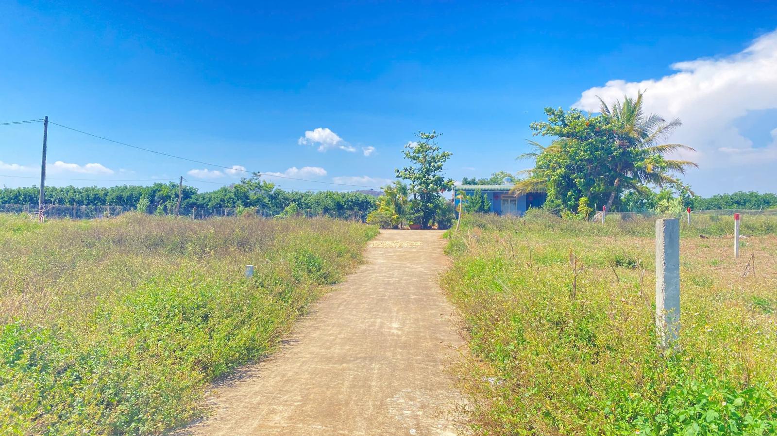 Đất hẻm dt 724, phú hội cũ, đức trọng, lâm đồng 15988995