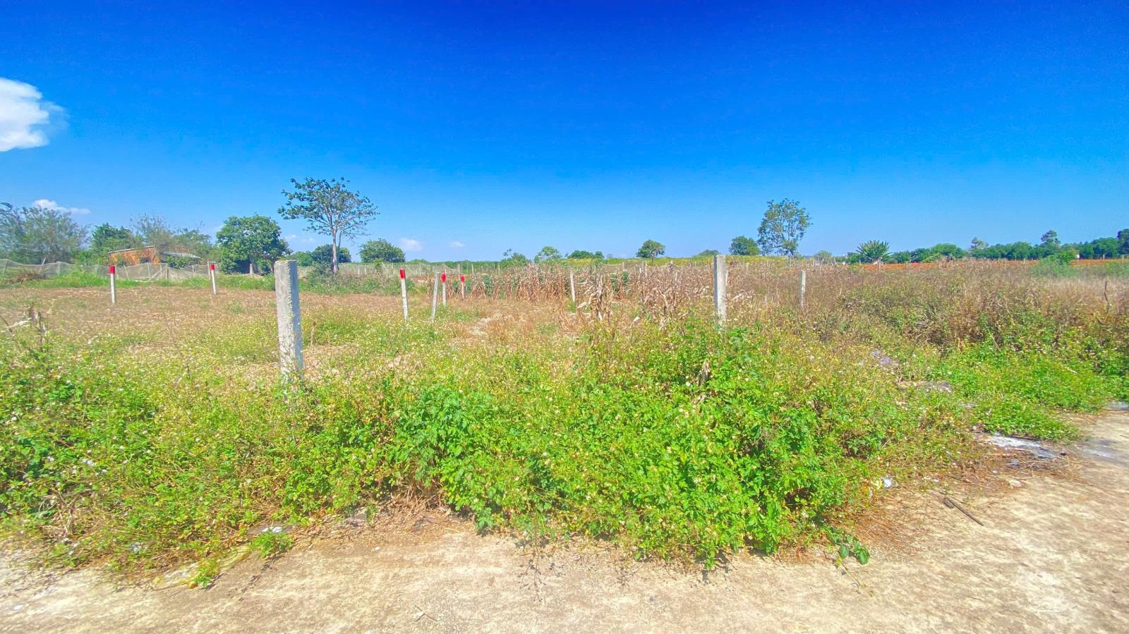 Đất hẻm dt 724, phú hội cũ, đức trọng, lâm đồng 15988995