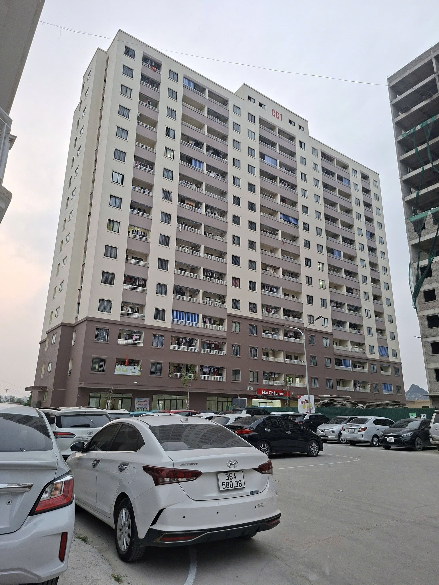 CHO THUÊ CĂN HỘ CHÍNH CHỦ - CHUNG CƯ TÂN THÀNH (CC3) 15989014