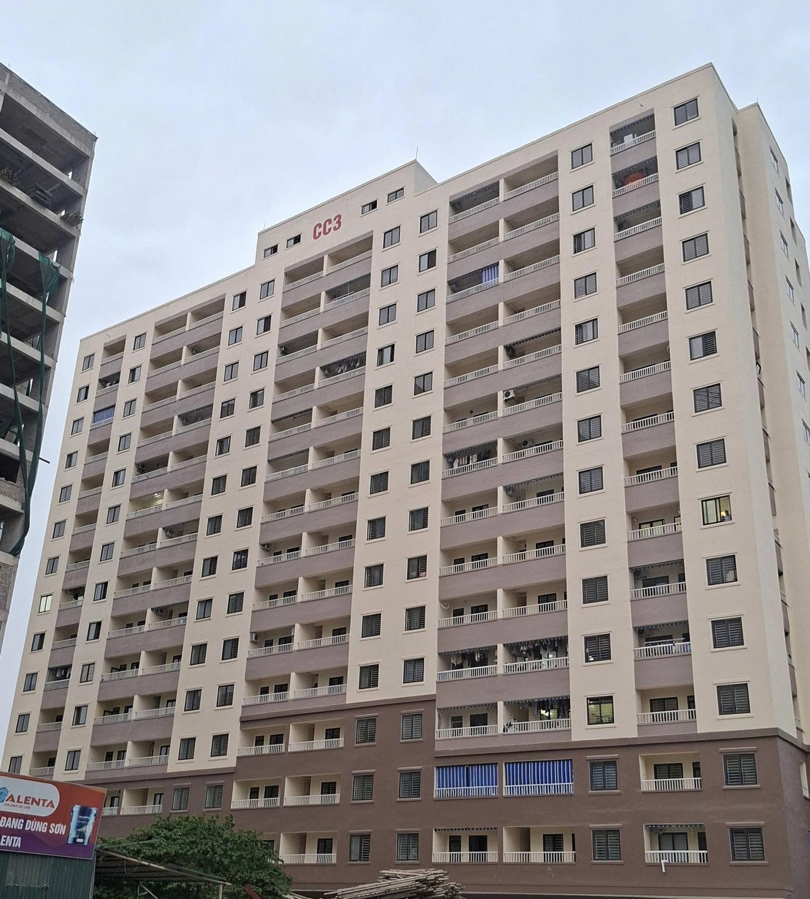 CHO THUÊ CĂN HỘ CHÍNH CHỦ - CHUNG CƯ TÂN THÀNH (CC3) 15989014