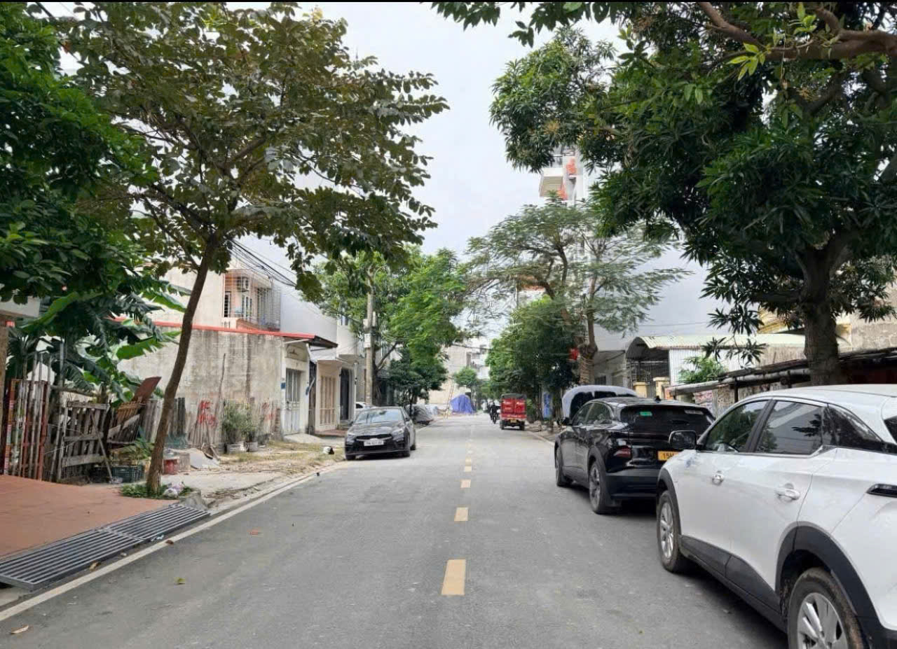 Đất tái định cư Đằng Lâm 2  - cạnh Sao Sáng - 90m - MT 4.8m - Đường 12m 15989023