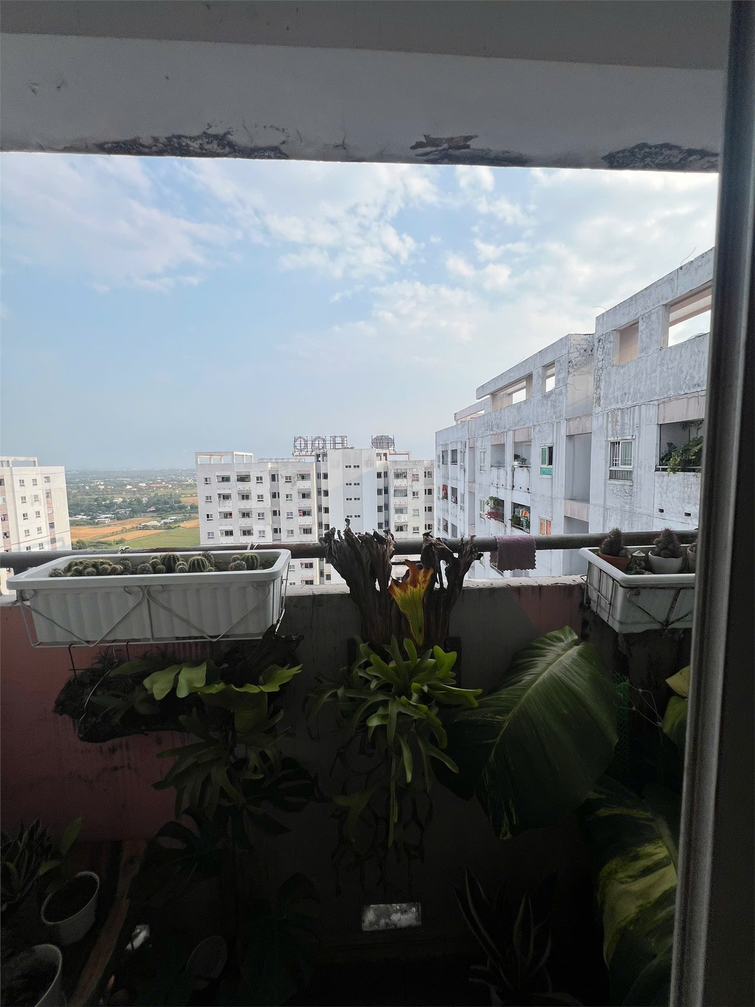 NHÀ ĐẸP GIÁ TỐT–CẦN BÁN CĂN HỘ HQC PLAZA NGUYỄN VĂN LINH –An Phú Tây, Bình Chánh, TP.HCM 15989222