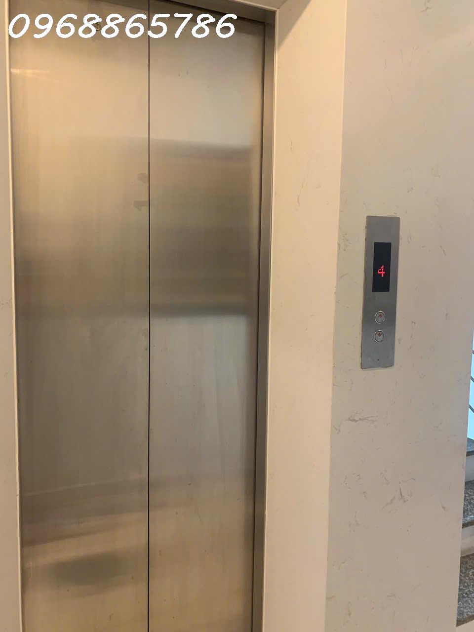 TUYỆT TÁC HOÀNG CẦU , KHI TẦM NHÌN TRỞ THÀNH DI SẢN ĐỘC BẢN 15989229