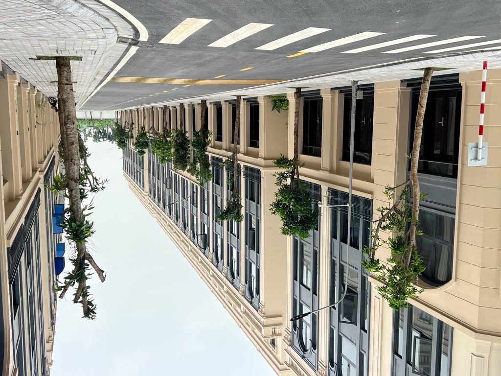 Bán Biệt thự liền kề Vinhomes Cổ Loa 65m 5 tầng mặt tiền rộng nhỉnh 20 tỷ(TL) 15989232