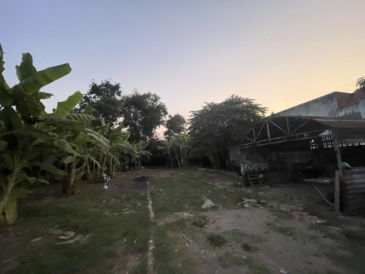 Bán mặt tiền đường nhánh Trần Văn Giàu Bình Chánh nhựa 10m-2000m2 full thổ cư -84 tỷ 15989265