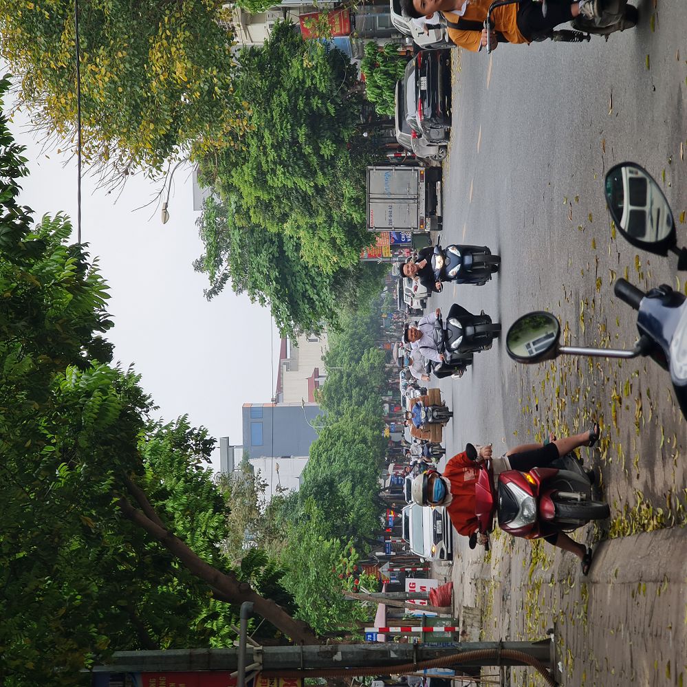 🔥 31m2 TĐC Trâu Quỳ Gia Lâm đường 13m giá 6 tỷ x đầu tư tốt ☎️ 0989894845 🔥 15989295