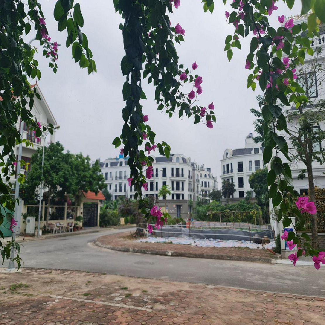 🔥 31m2 TĐC Trâu Quỳ Gia Lâm đường 13m giá 6 tỷ x đầu tư tốt ☎️ 0989894845 🔥 15989296