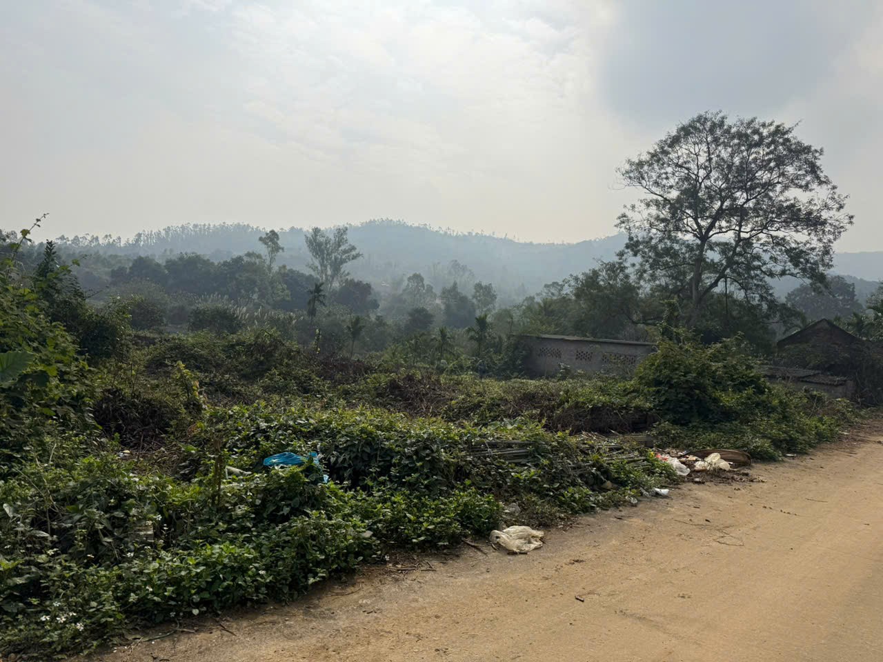 ĐẤT ĐẸP - GIÁ TỐT - Cần Bán Nhanh Đất Phân Lô Vị Trí Đắc Địa Tại Tại xã Xuân Mai, TP Hà Nội 15989384