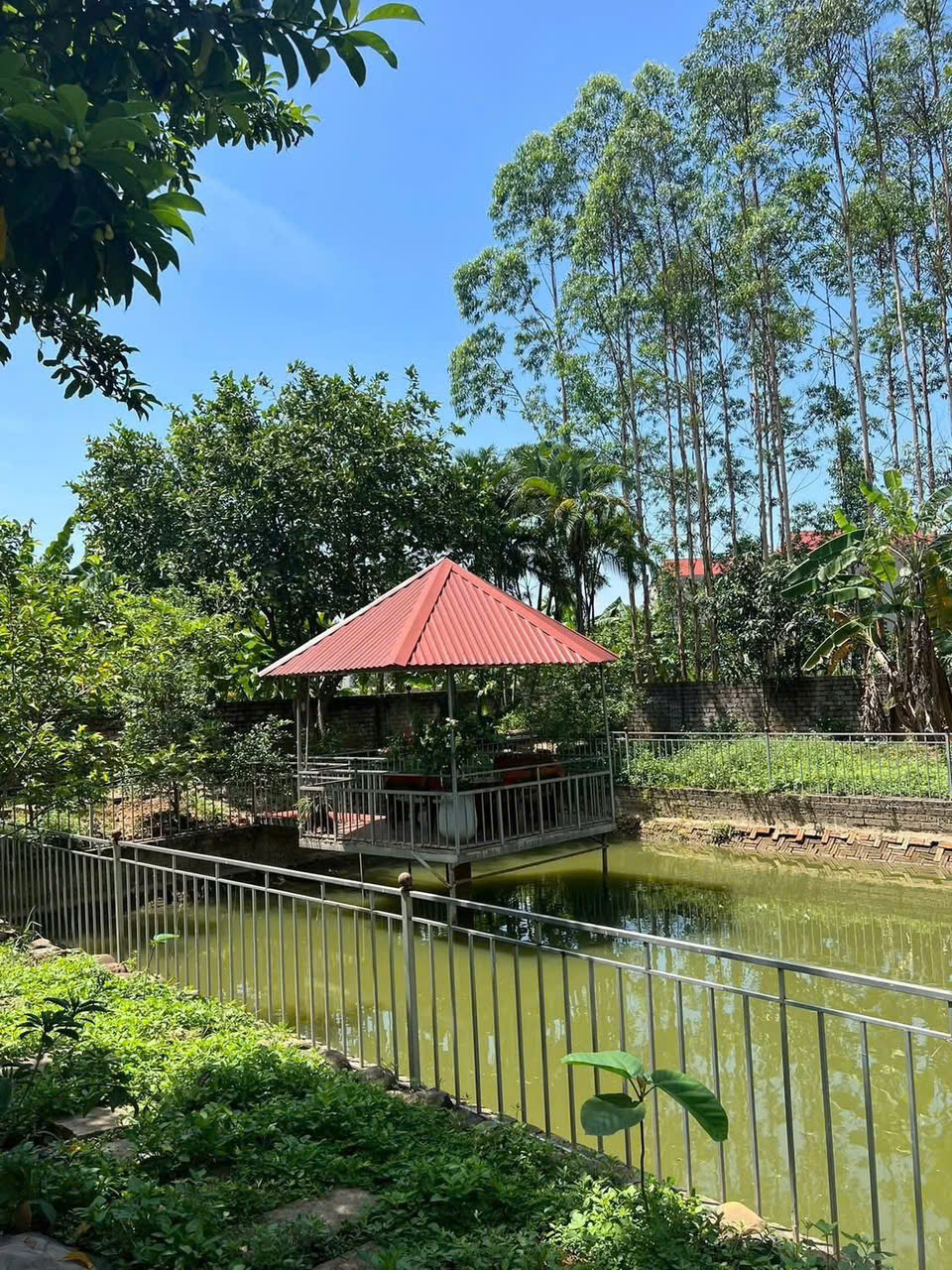 BIỆT THỰ NHÀ VƯỜN 2000m2 HIẾM CÓ – BẢO ĐÀI, BẮC NINH (LỤC NAM, BẮC GIANG cũ) (CHÍNH CHỦ) 15989386