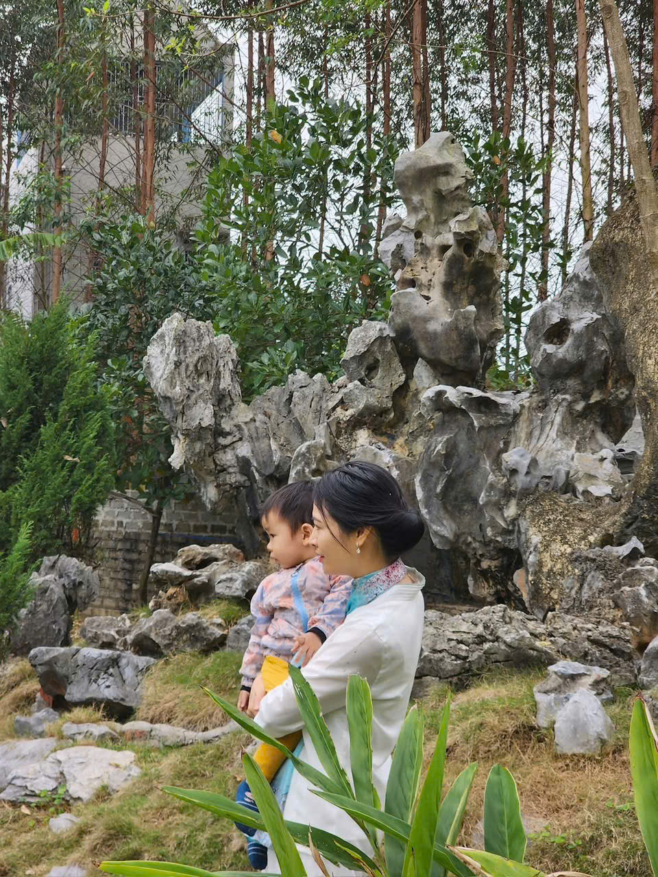 BIỆT THỰ NHÀ VƯỜN 2000m2 HIẾM CÓ – BẢO ĐÀI, BẮC NINH (LỤC NAM, BẮC GIANG cũ) (CHÍNH CHỦ) 15989386