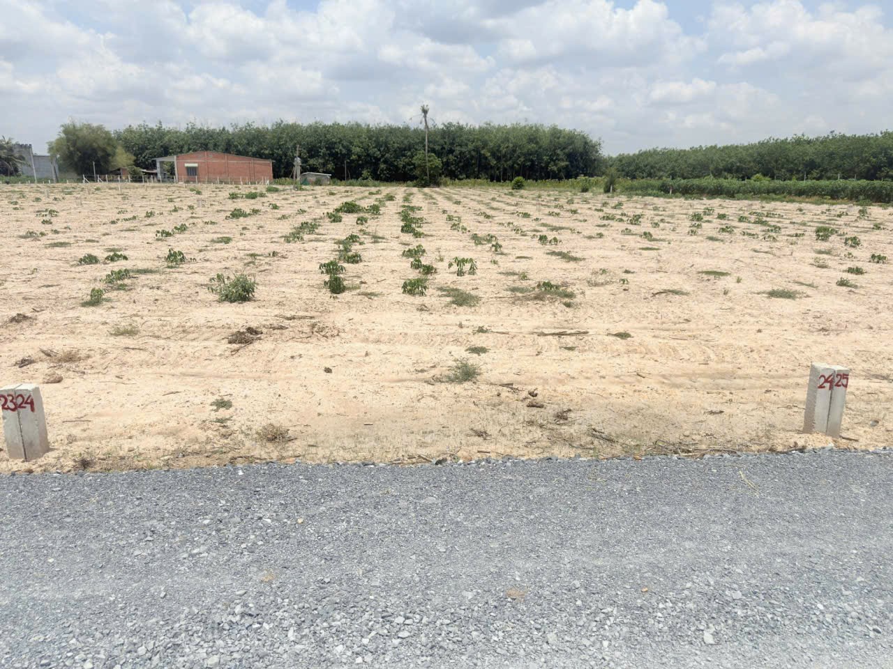 ĐẤT ĐẸP - ĐẦU TƯ SINH LỜI - Chính Chủ  Bán Đất Tại Xã Hảo Đước, Châu Thành, Tây Ninh 15989404