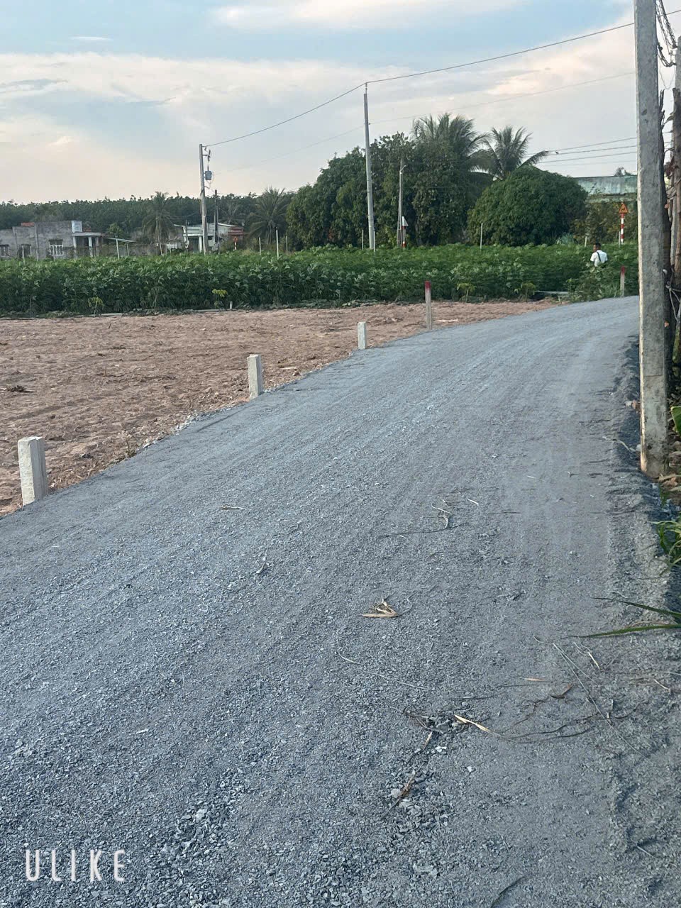 ĐẤT ĐẸP - ĐẦU TƯ SINH LỜI - Chính Chủ  Bán Đất Tại Xã Hảo Đước, Châu Thành, Tây Ninh 15989404
