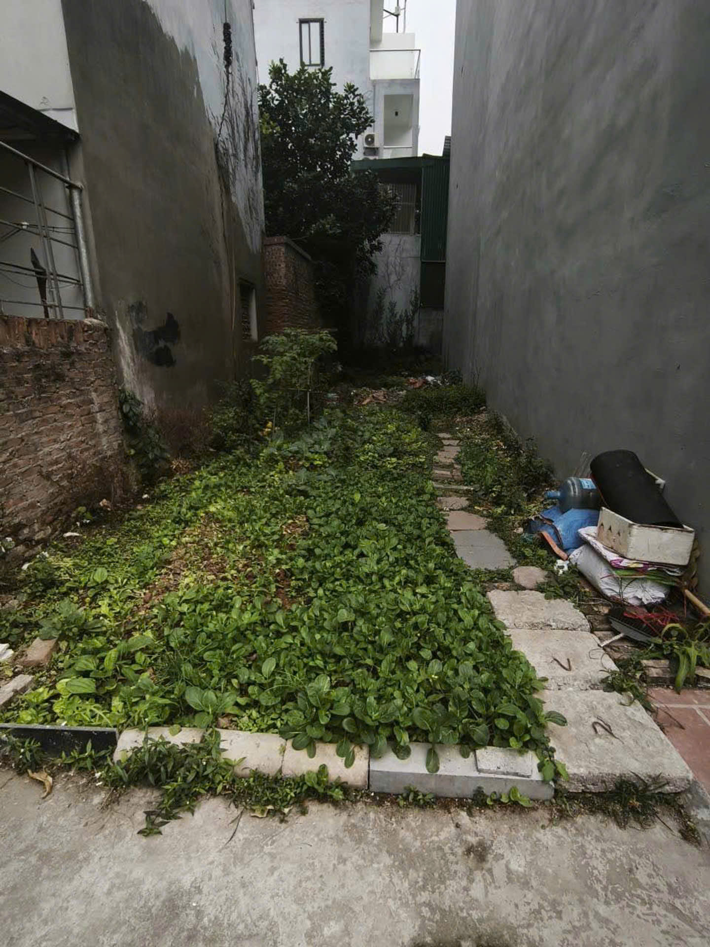 Sổ vuông văn giá mảnh đất cực đẹp Phúc Lợi 72m chỉ hơn 6 tỷ 15989427