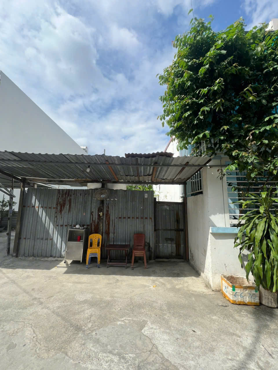 Bán Nhanh Đất Phước Long – 97.4m² Full Thổ – Ô Tô 5m – 5 Tỷ 15989452