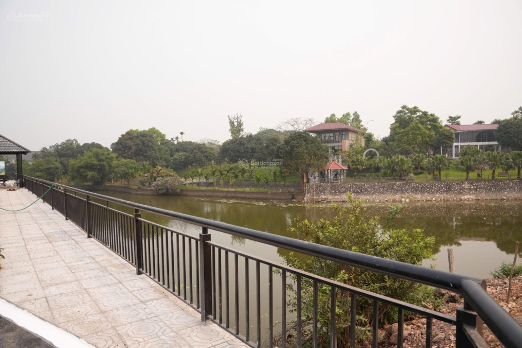 Bán gấp đất đẹp tại Xã Cổ Đông, 3,7  tỷ, 100m2, mặt tiền 6m 15989466