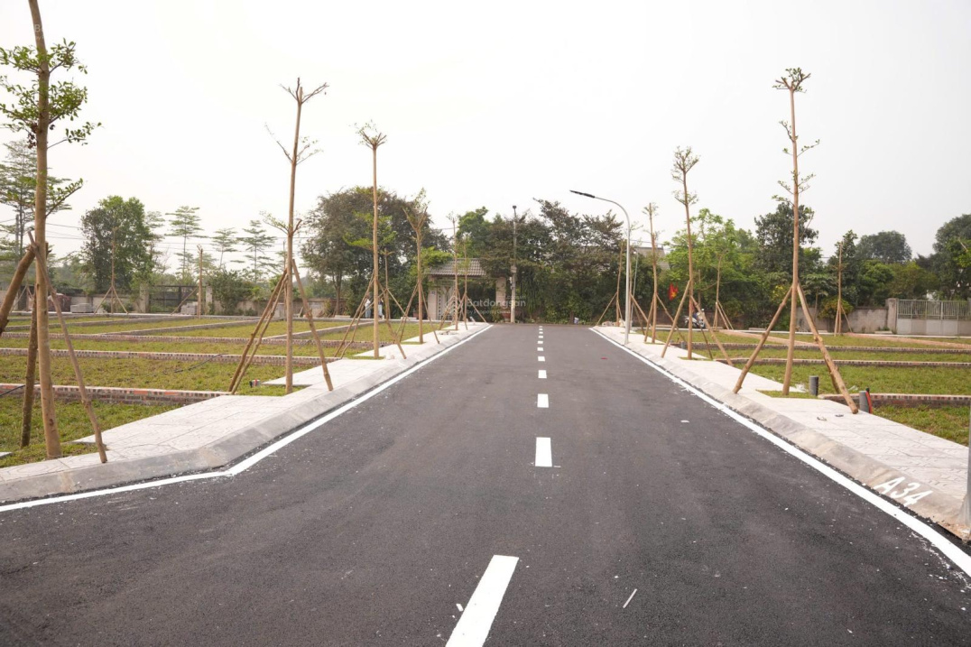 Bán gấp đất đẹp tại Xã Cổ Đông, 3,7  tỷ, 100m2, mặt tiền 6m 15989466