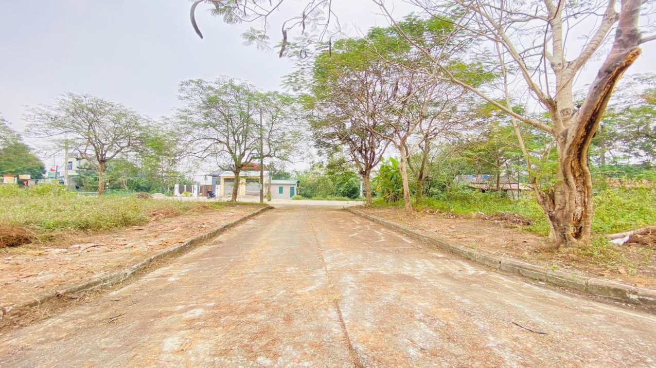 Cắt lỗ! 100m tái định cư đại học QG vị trí đẹp kinh doanh, giá cắt lỗ siêu rẻ nhất công nghệ cao.LH 15989486