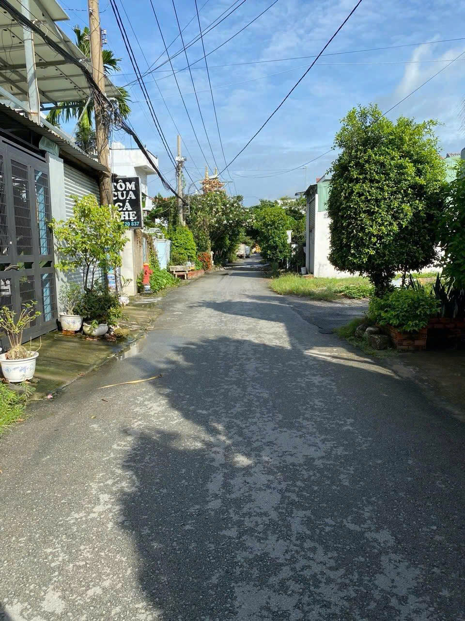 Bán Thanh Lý Nhà Cấp 4 gần công viên thanh niên quận 12 dt 124m2 giá 1 Tỷ 260Tr 15989536