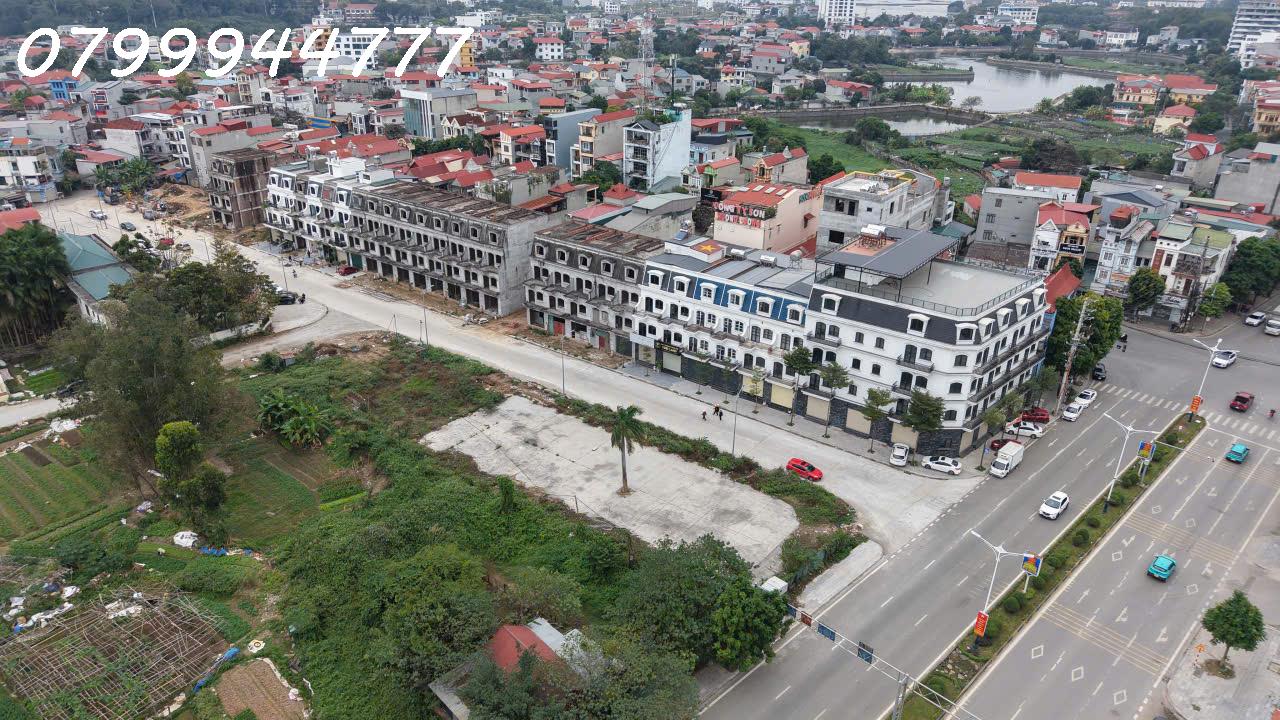 CHÍNH CHỦ BÁN NHANH LÔ GÓC SIÊU ĐẸP MẶT NGUYỄN TẤT THÀNH - VĨNH PHÚC 15989563