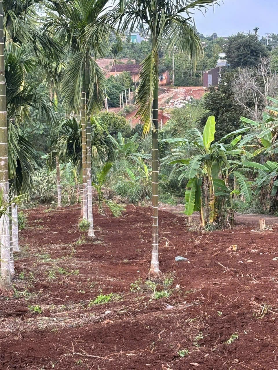 ĐẤT ĐẸP – GIÁ TỐT  – CHÍNH CHỦ CẦN BÁN 3 Lô Liền Kề Tại Phú Xuân - Krông Năng - Đắk Lắk 15989674